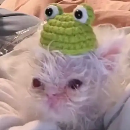 ...